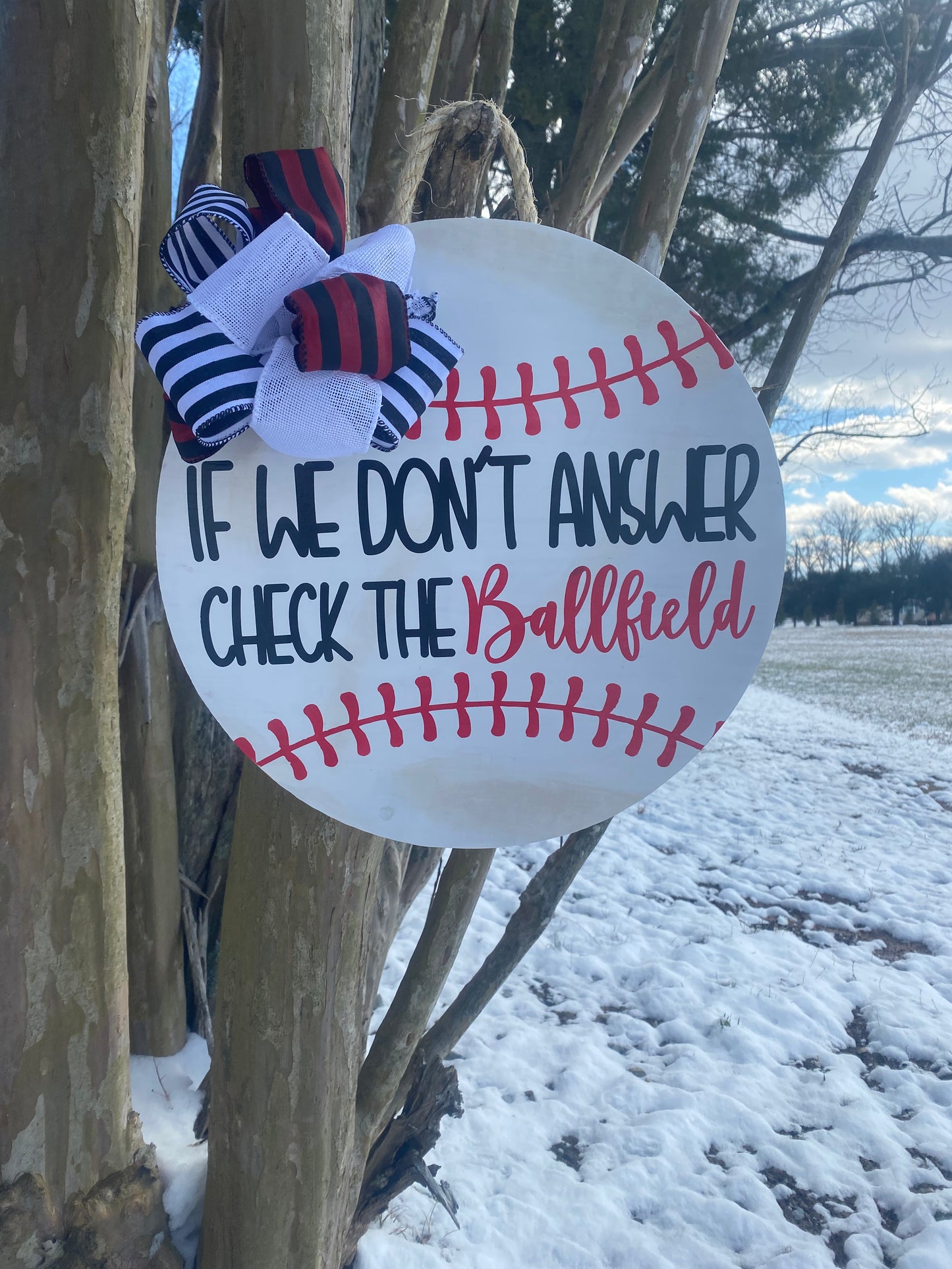 Check The Field Door Hanger